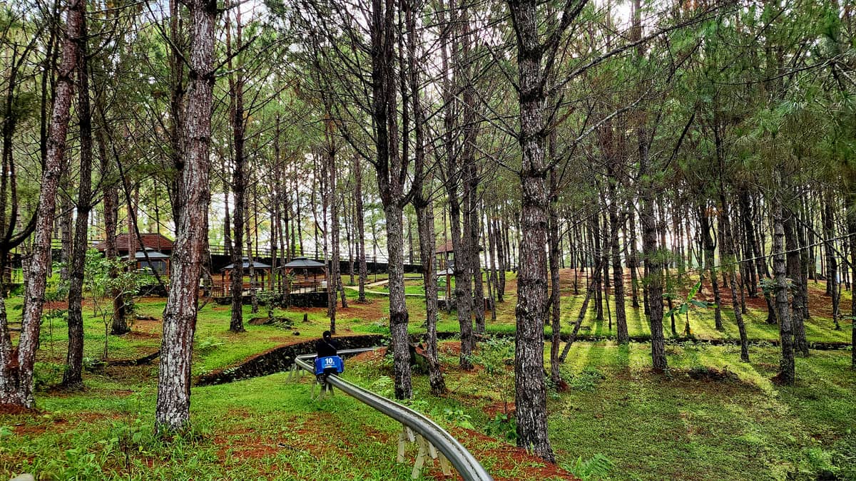 The Razorback Mountain Coaster ride at the Dahilayan Adventure Park.